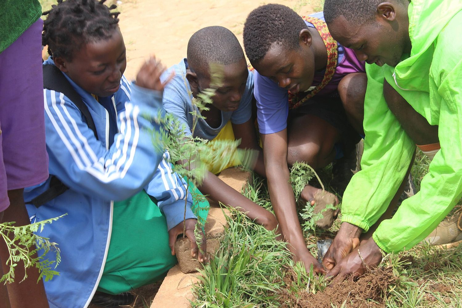 Community members planting tree seedlings as part of a land restoration effort