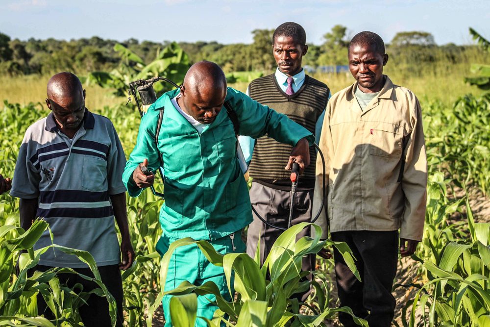 Agricultural adviser reviewing a farm plan with a farmer in the field, notebook in hand