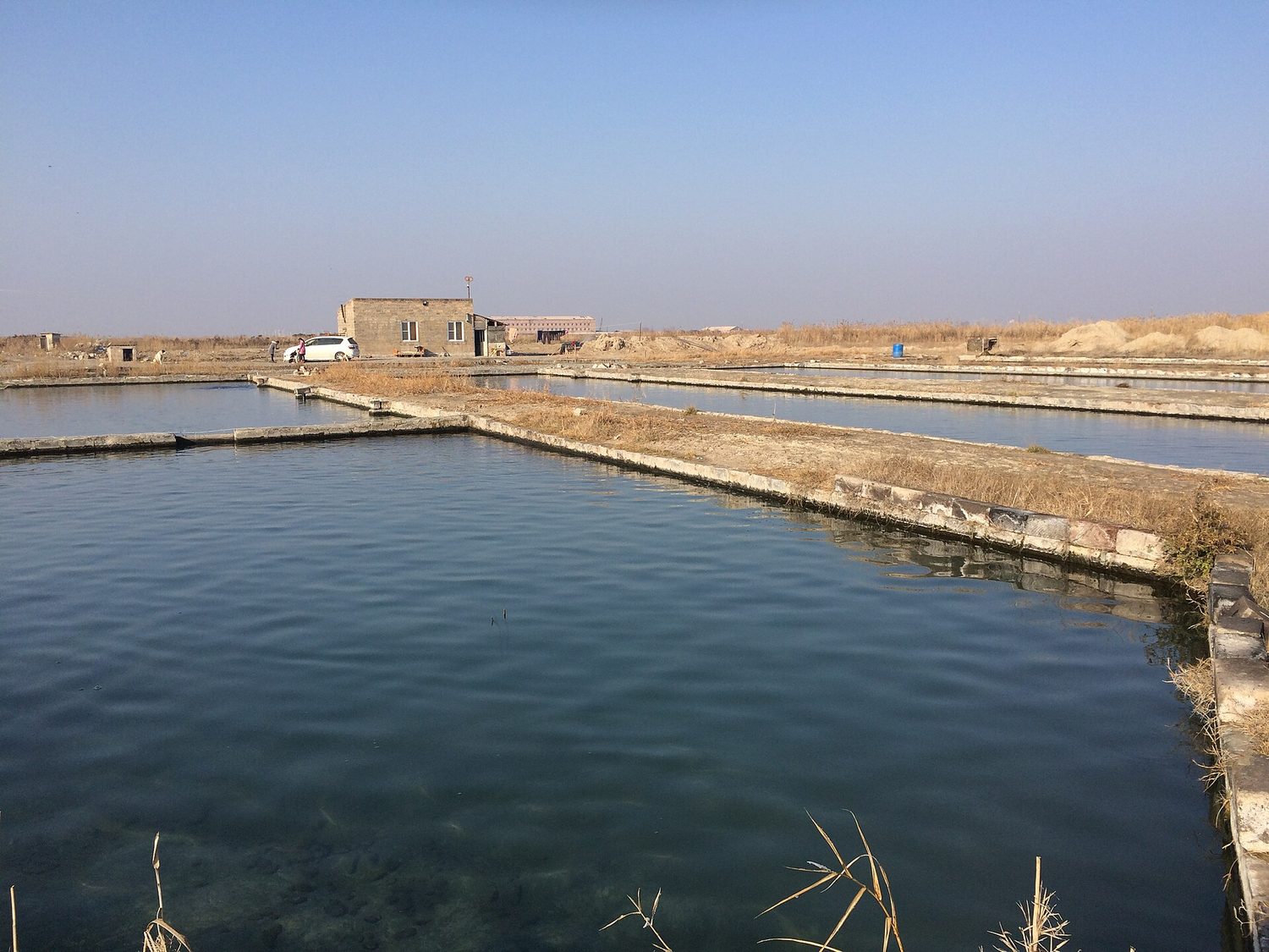 Fish pond used for small-scale aquaculture production
