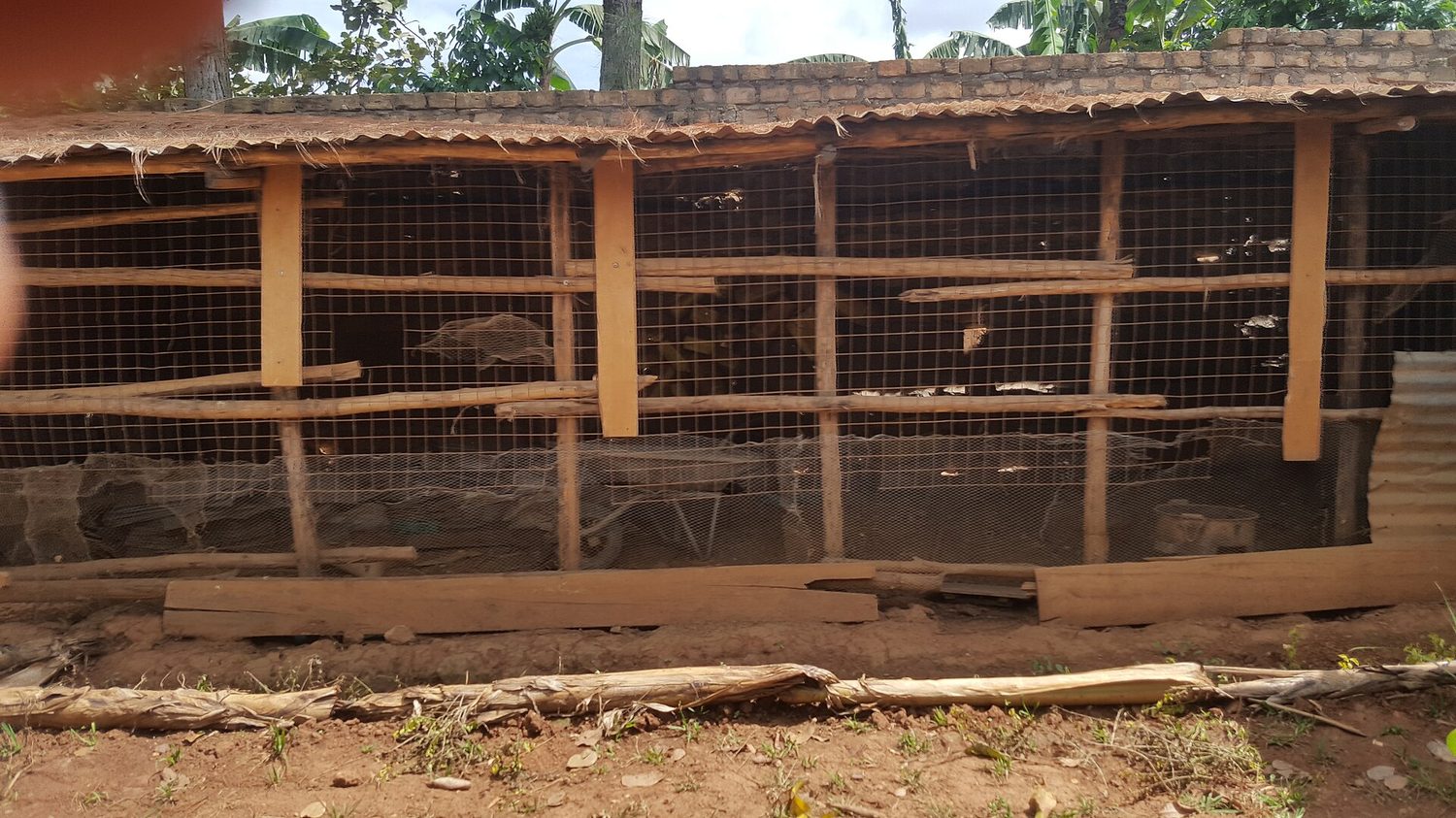 Completed poultry house on a smallholder farm in Sierra Leone