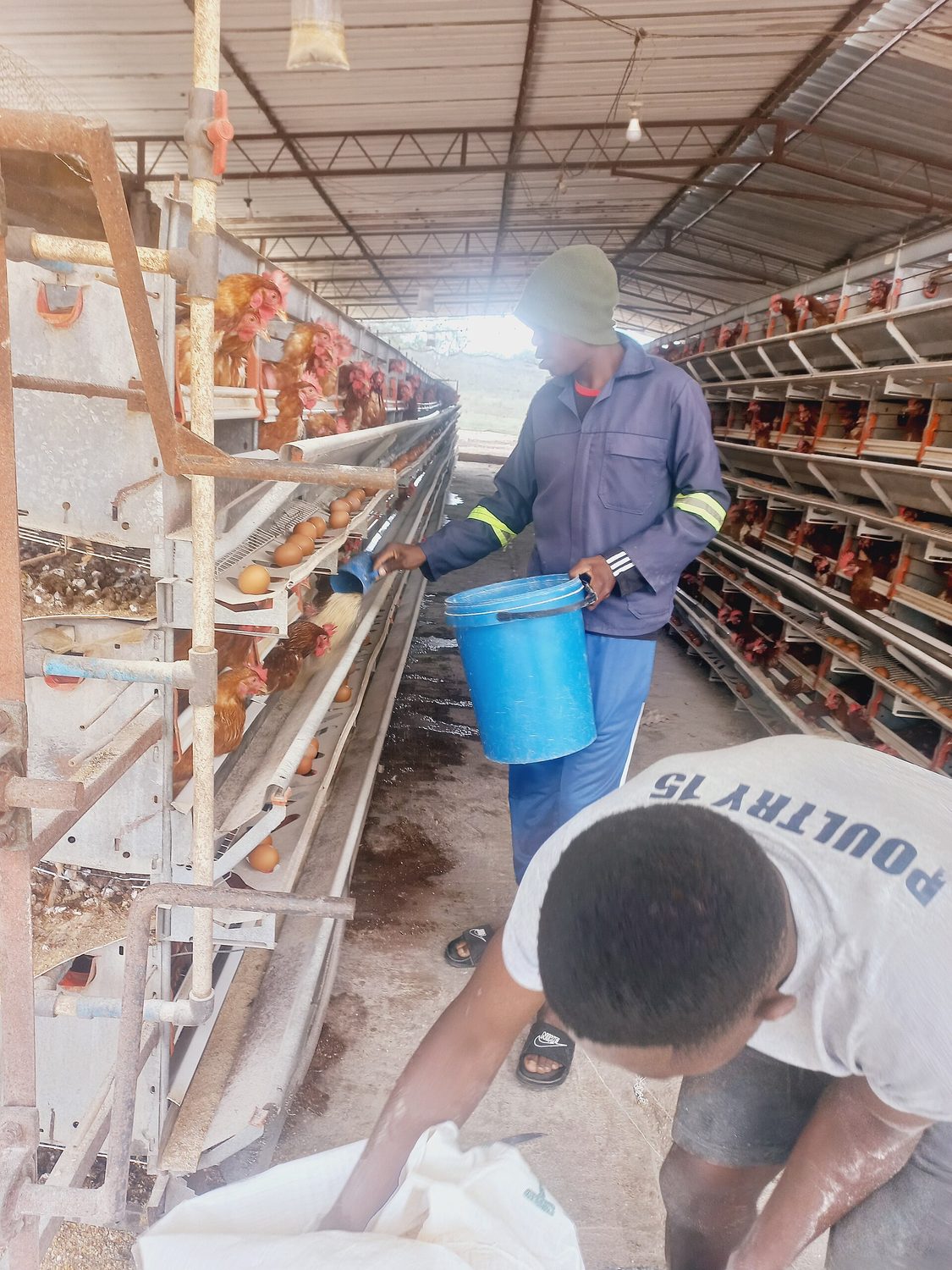 Participants mixing livestock feed ingredients by hand during a feed formulation session
